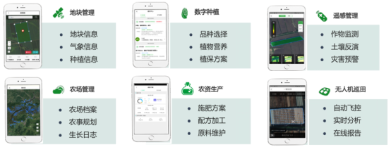 &#30343;&#20896;